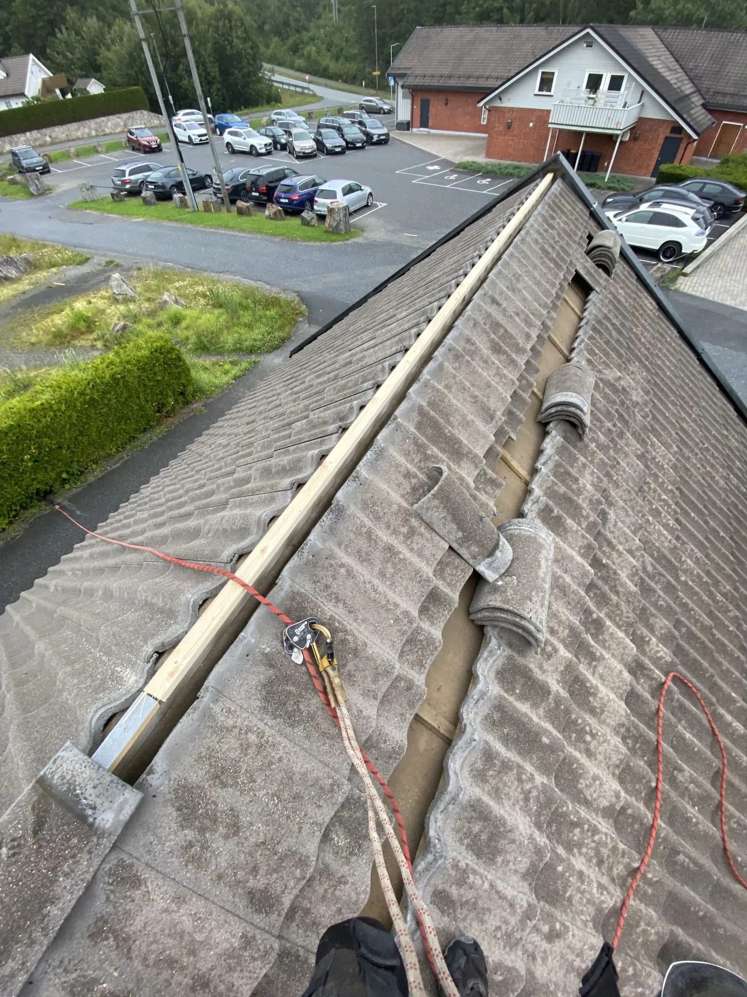 Zzlast - Aquaman Service